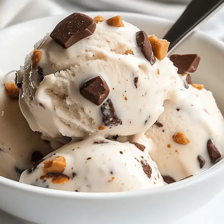 Moose Tracks Protein Ice Cream