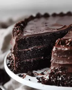 Brooklyn Blackout Cake